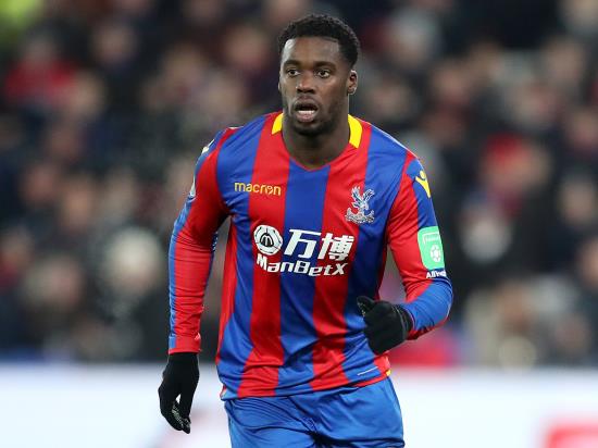 Crystal Palace vs Manchester United - Injury crisis eases for Palace ahead of Man Utd test