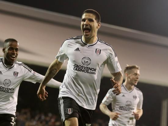 Fortunate Kevin McDonald goal sets up another Fulham win