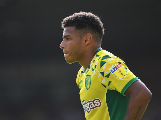 Onel Hernandez returns from injury for Norwich