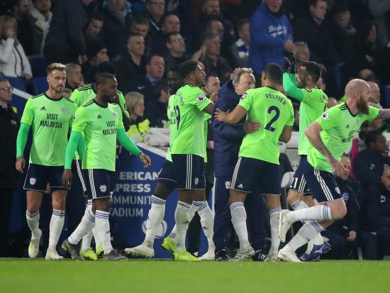 Cardiff boost survival hopes after vital win over Brighton