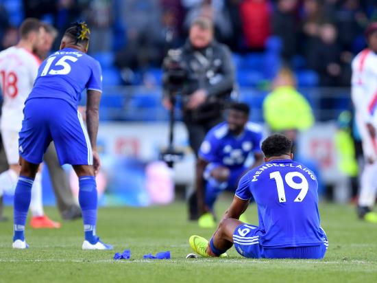 Cardiff relegated after home defeat to Crystal Palace