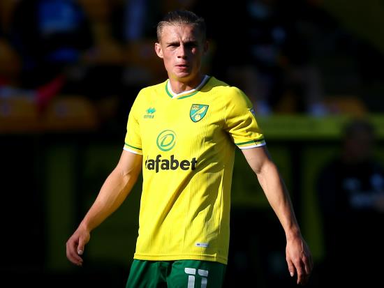 Frustration for Norwich as they are held at home by Millwall