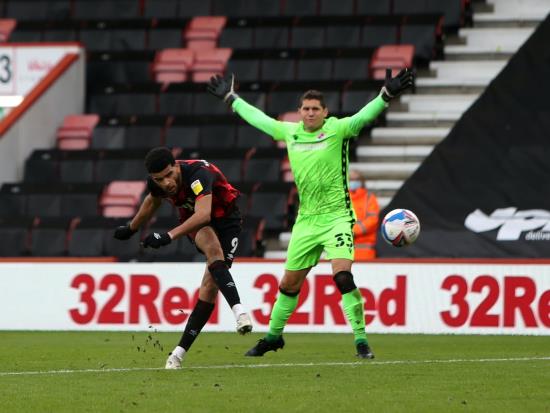 Bournemouth knock Reading off top spot after staging second-half fightback