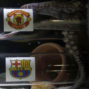 Octopus tips United to beat Barca