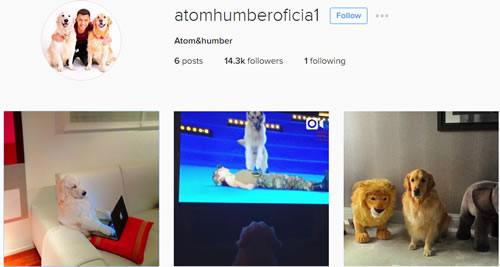 So Arsenal: Alexis Sanchez sets up Instagram Account for his Dogs