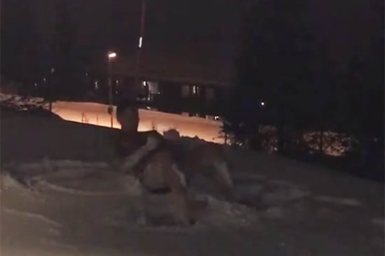 Man United ace Zlatan Ibrahimovic works out in the SNOW – wearing just his boxers
