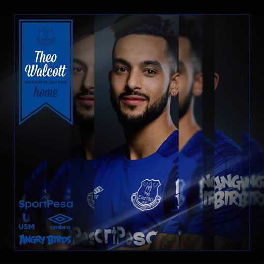 Theo Walcott completes £20 million move from Arsenal to Everton