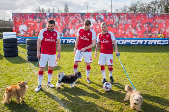 Jack Wilshere, Calum Chambers and Sead Kolasinac tackle dog agility course with their canine friends in bizarre PR stunt for official tyres partner
