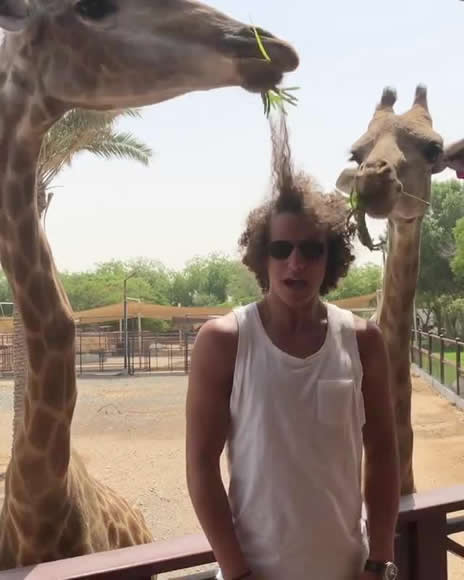 Chelsea star David Luiz’s ‘Sideshow Bob’ hair eaten by hungry giraffe on madcap Dubai holiday