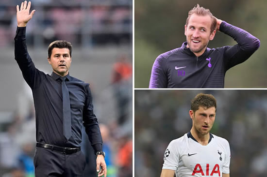 Tottenham news: Mauricio Pochettino makes shock reveal about his future at the club