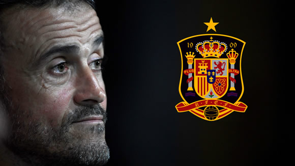 Luis Enrique steps down as Spain head coach