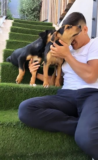 Alexis Sanchez welcomes two new puppies to join Atom and Humber and keep Man Utd flop company during lockdown