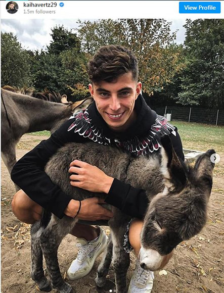 Donkeys, playing the piano and 'inspirational' Ballack: New Chelsea signing Havertz opens up on unique passions