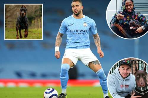 England ace Kyle Walker shells out £40,000 for a guard dog after raids on footballers’ homes